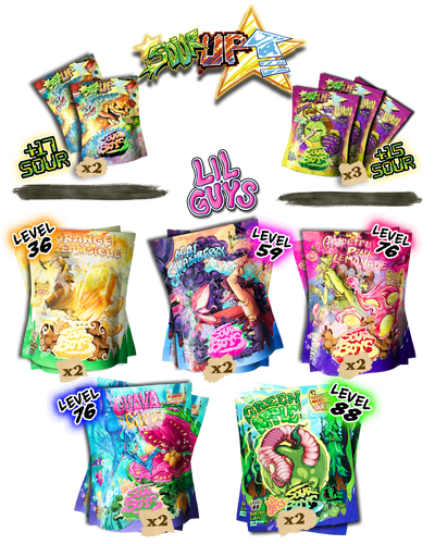 The Starter Bundle
