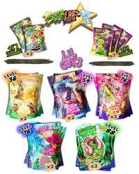 The Starter Bundle